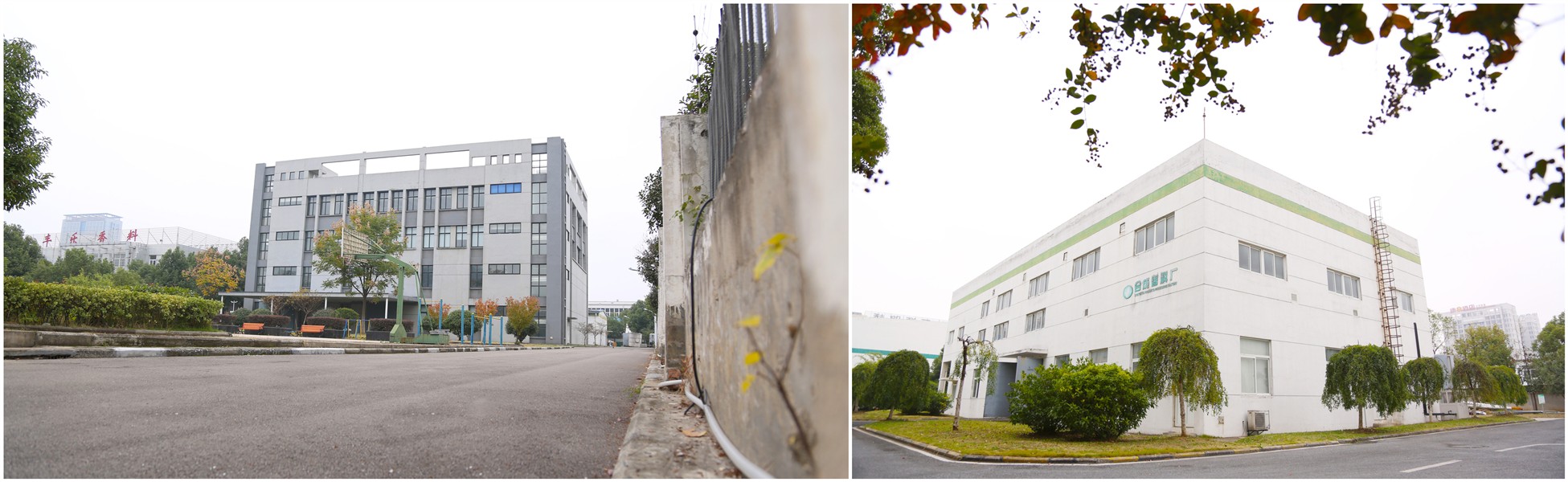 �������ʹ���-׷�󿵽�,����һ������